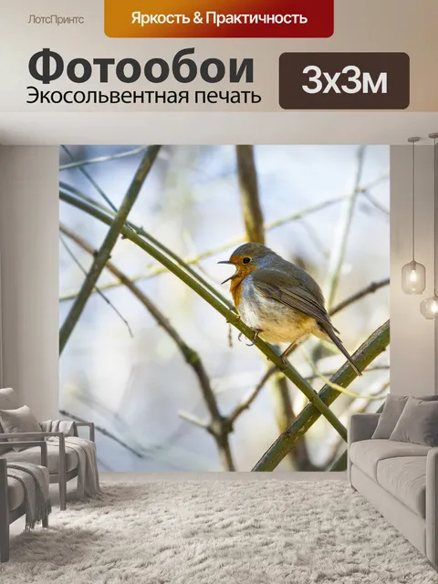 Фотообои Робин