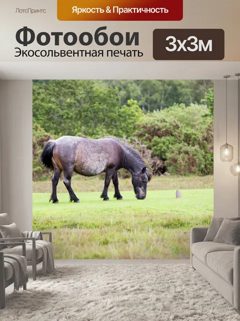 Фотообои Симпатичные Пони Выпас