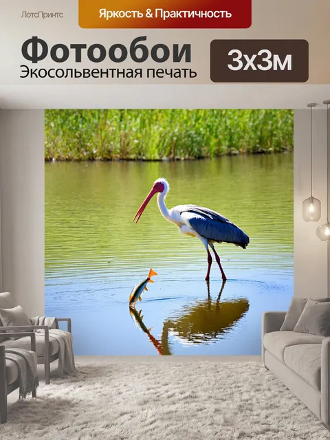 Фотообои аист на берегу реки, ловящий рыбу в яркий солнечный день, отражение в воде