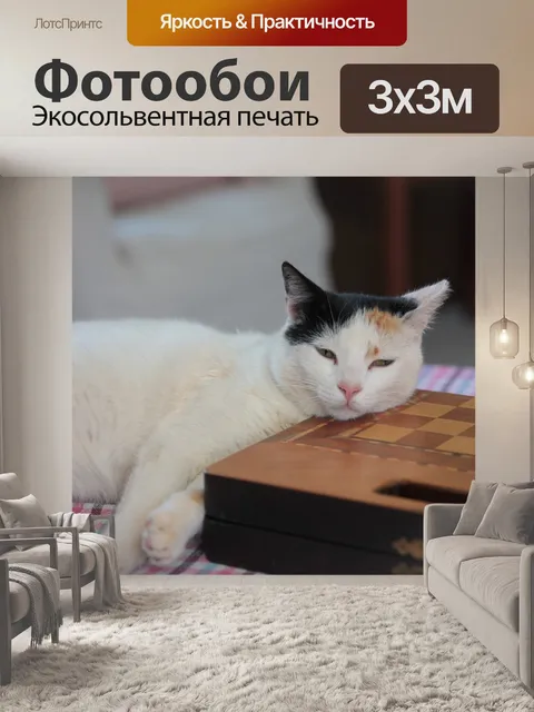 Фотообои Кошка