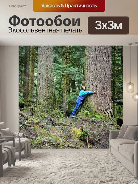 Фотообои Дерево