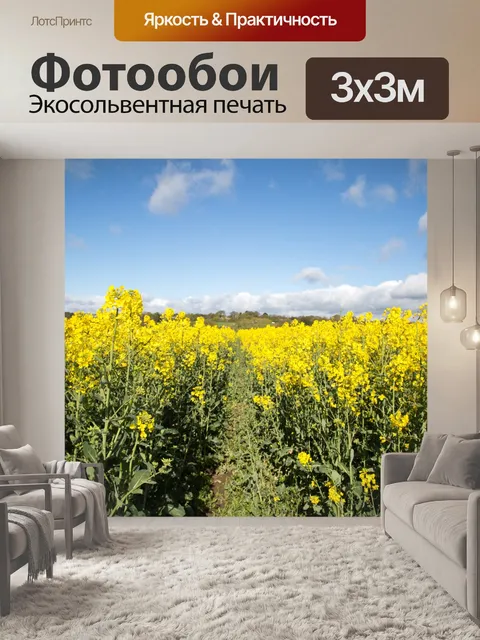 Фотообои Область желтого рапса
