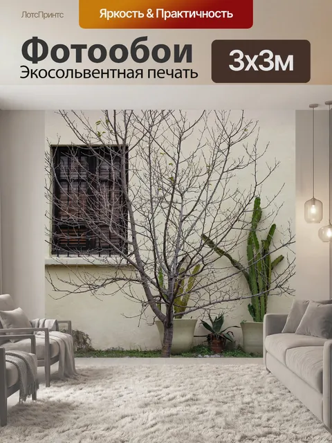 Фотообои Окно