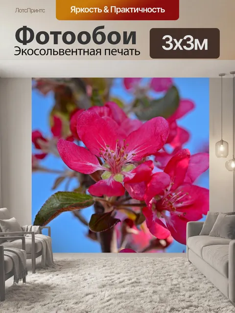 Фотообои Яблоневый цвет