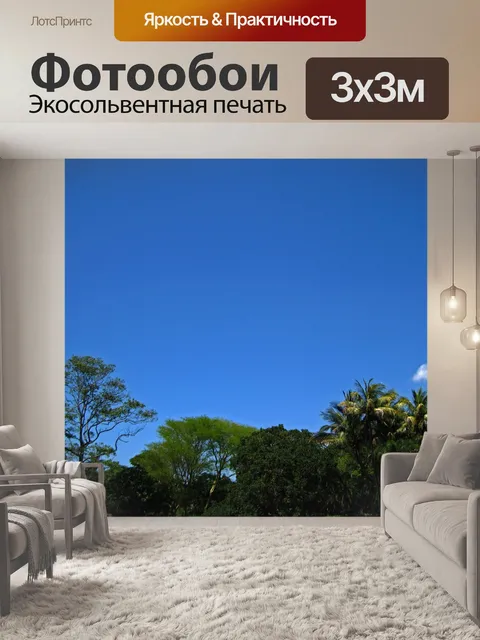 Фотообои вид границы деревьев в парке