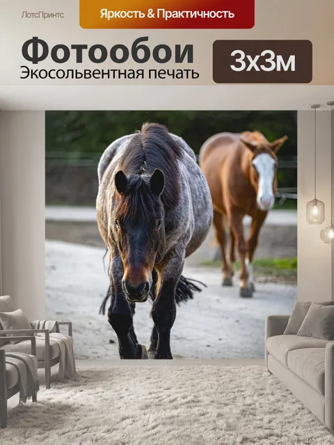Фотообои Лошади