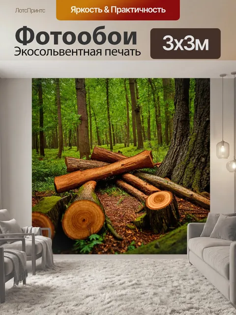 Фотообои лес, в котором встречаются старинные деревья и вырубленные пни