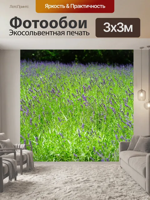 Фотообои Лаванда