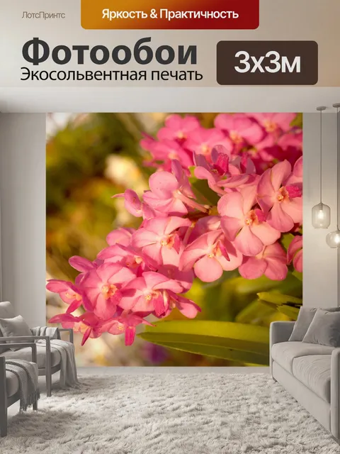 Фотообои Фото цветка орхидеи