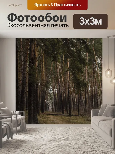 Фотообои Сосновый бор
