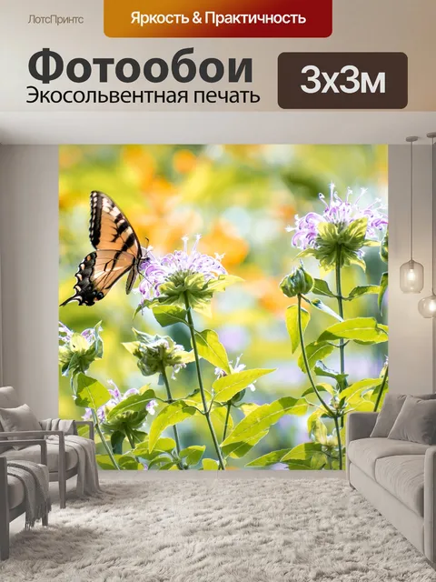 Фотообои Бабочка