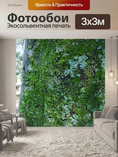 Фотообои мох и лишайники на стволе дерева
