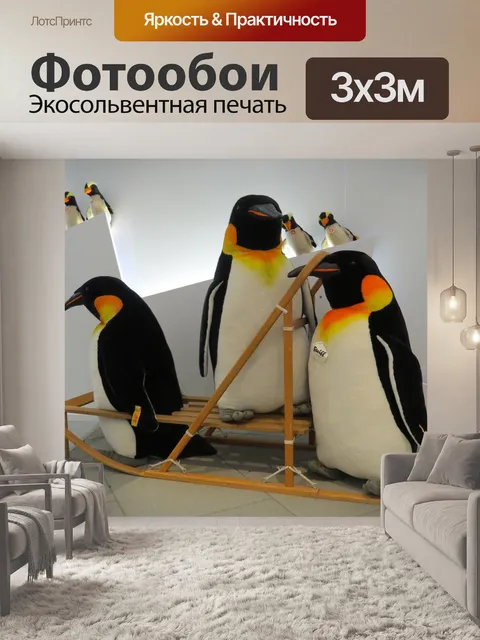 Фотообои Пингвин
