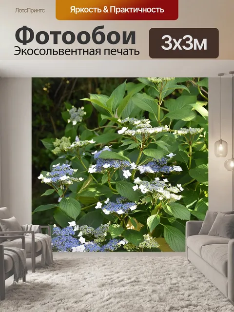 Фотообои Гортензия синий