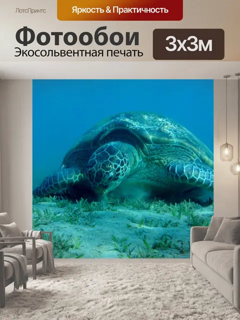 Фотообои Морская черепаха