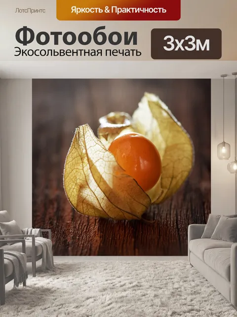 Фотообои Физалис