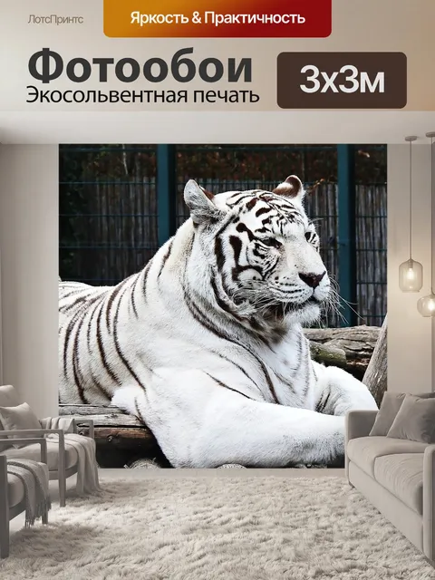 Фотообои Тигр