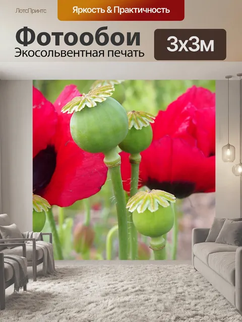 Фотообои Мак