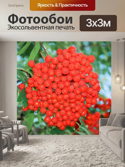 Фотообои Ягоды рябины