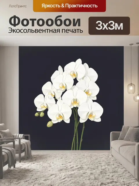 300 × 300 см · Экосольвентная печать