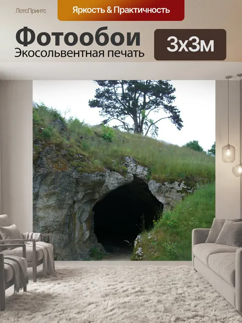 Фотообои Птица плита пещера