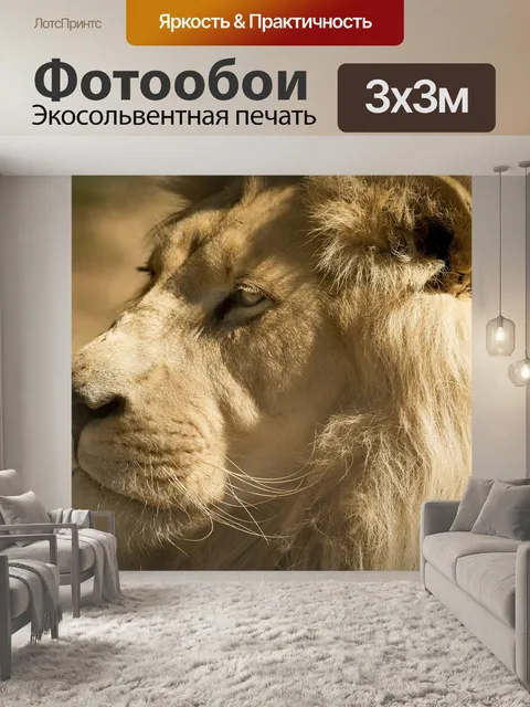 Фотообои Белый лев
