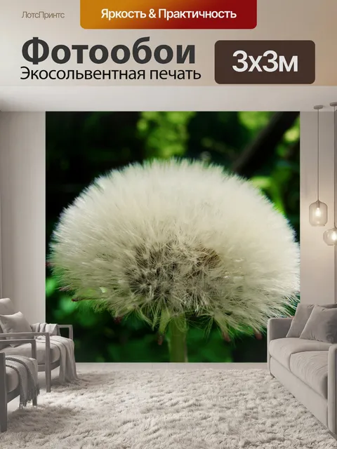 Фотообои Халат