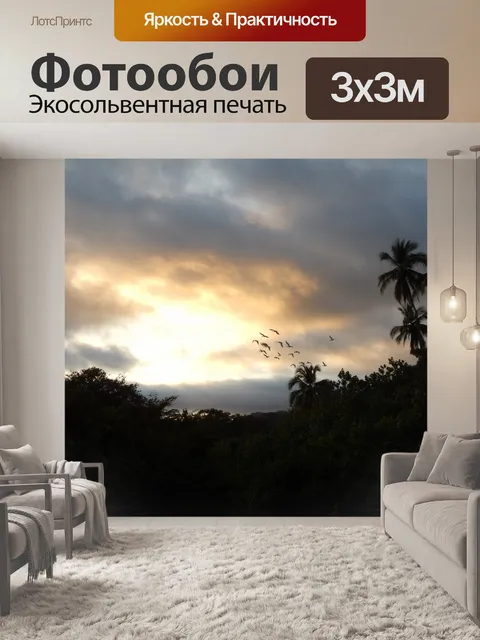 Фотообои Вечер стая птиц