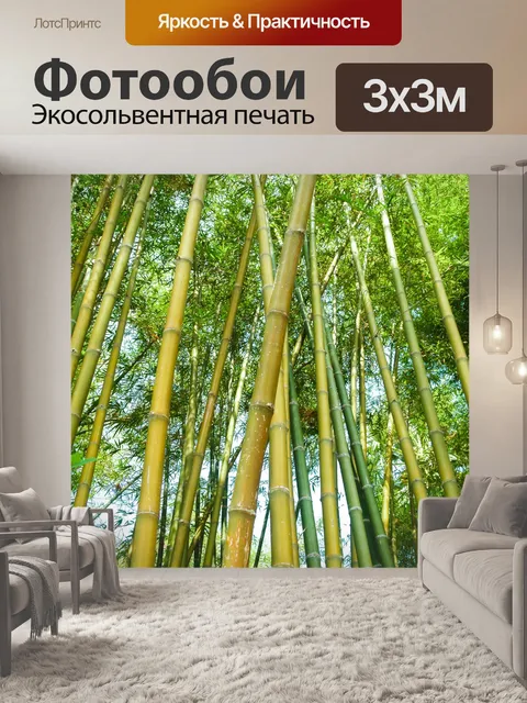 Фотообои Бамбуковый лес