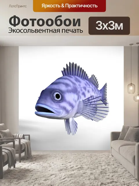 Фотообои Морской окунь