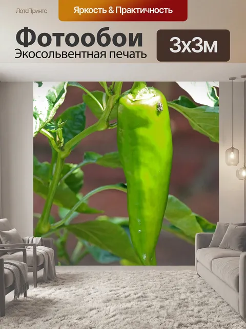 Фотообои острый сладкий зеленый перец