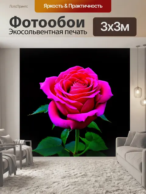 Фотообои розы в стиле абстракции, размышления о природе, природные элементы, стилизованные в абстрактном формате