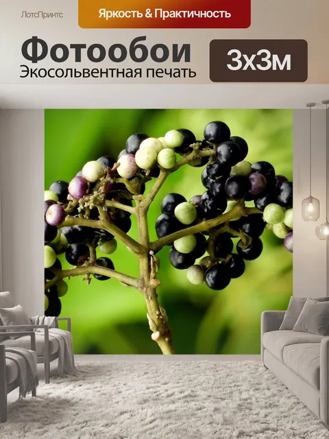 Фотообои Слева