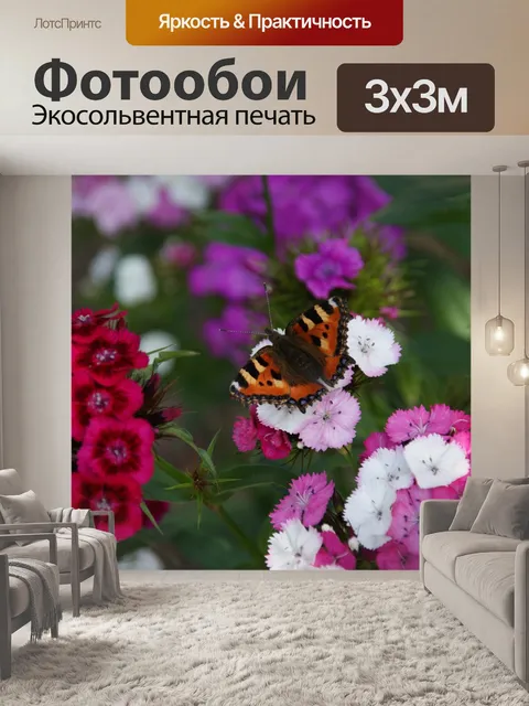 Фотообои Бабочка