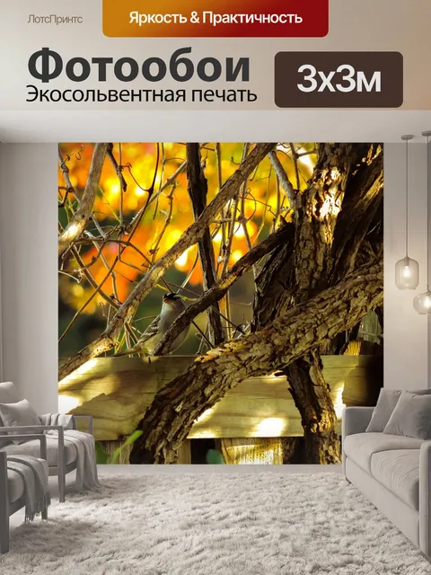 Фотообои Белый-венценосных воробей