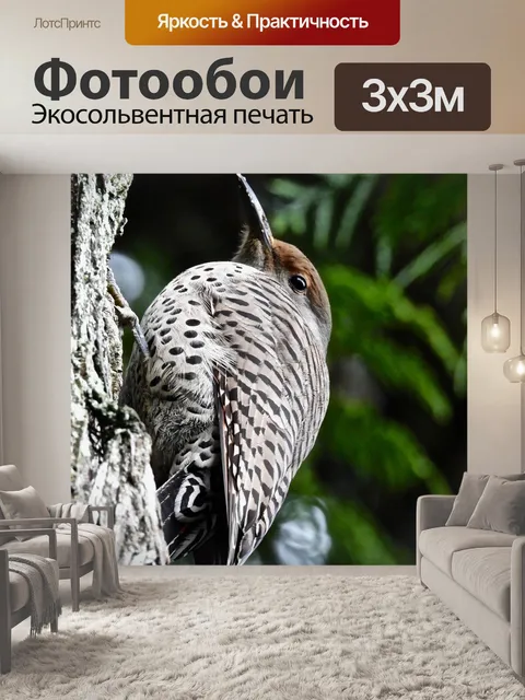 Фотообои Мерцание