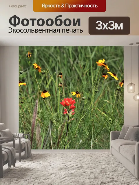 Фотообои Красные и желтые полевые цветы в поле