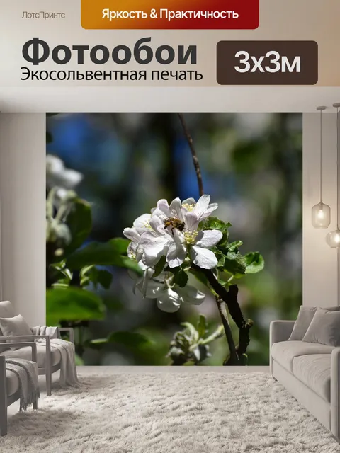Фотообои Яблоневый цвет