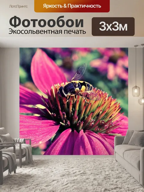 Фотообои Фиолетовый цветок конуса