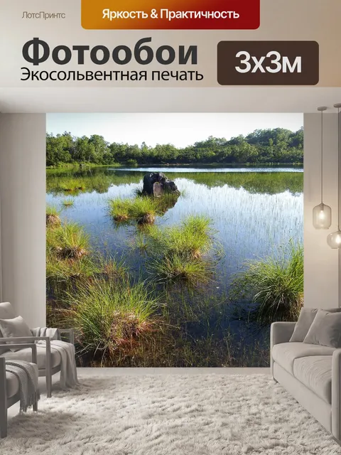 Фотообои Лесное озеро