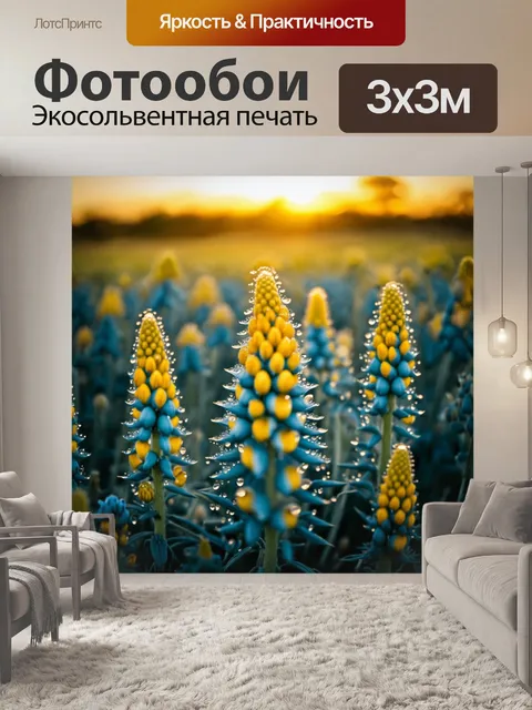 Фотообои восход солнца освещает поле с пахистахисом, яркие желтые бутоны устремлены к небу