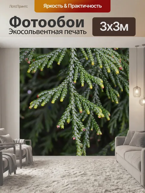 Фотообои зеленая ветка дерева