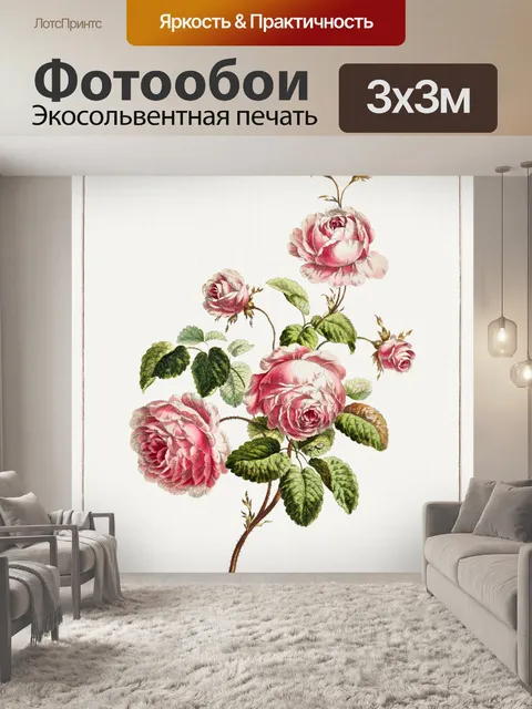 Фотообои Урожай роза искусство старый