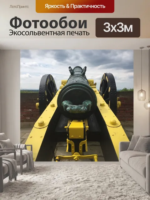 Фотообои Пушка