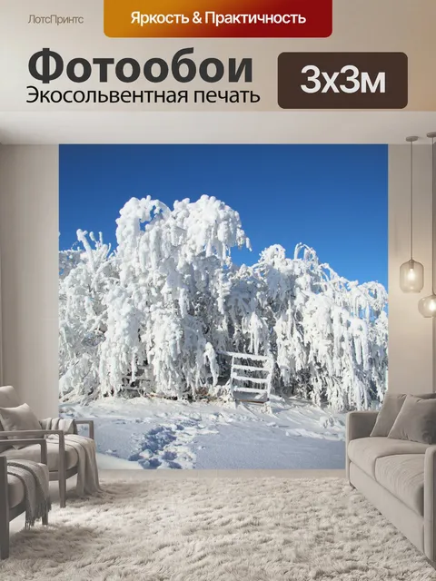 Фотообои Иней деревья ворота
