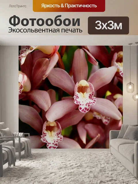 Фотообои Мягкие розовые орхидеи