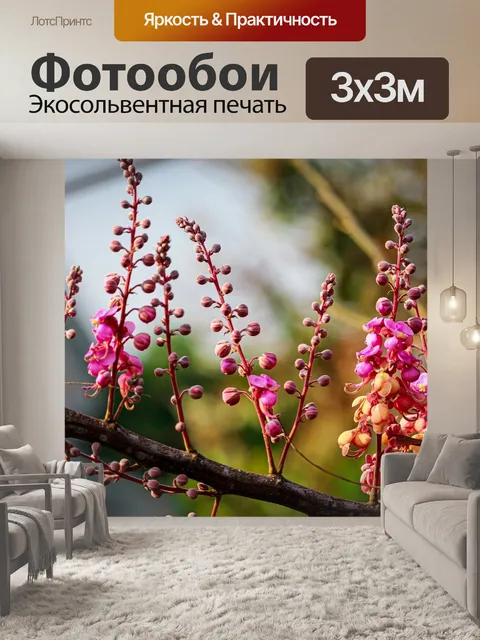 Фотообои Цветы