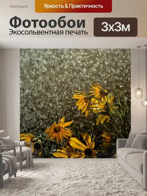 Фотообои Дождь