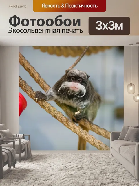Фотообои Обезьяна