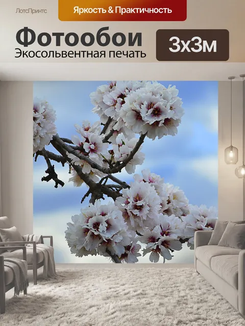 Фотообои Цветок миндаля